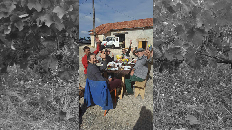 On fête la fin des vendanges !